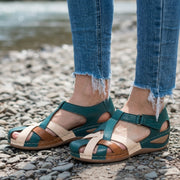 Teal Multi