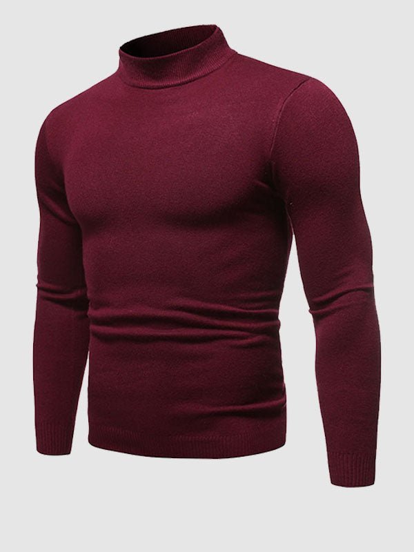 Men's Slim Fit Turtleneck Sweater, Long Sleeves, Ribbed Trims