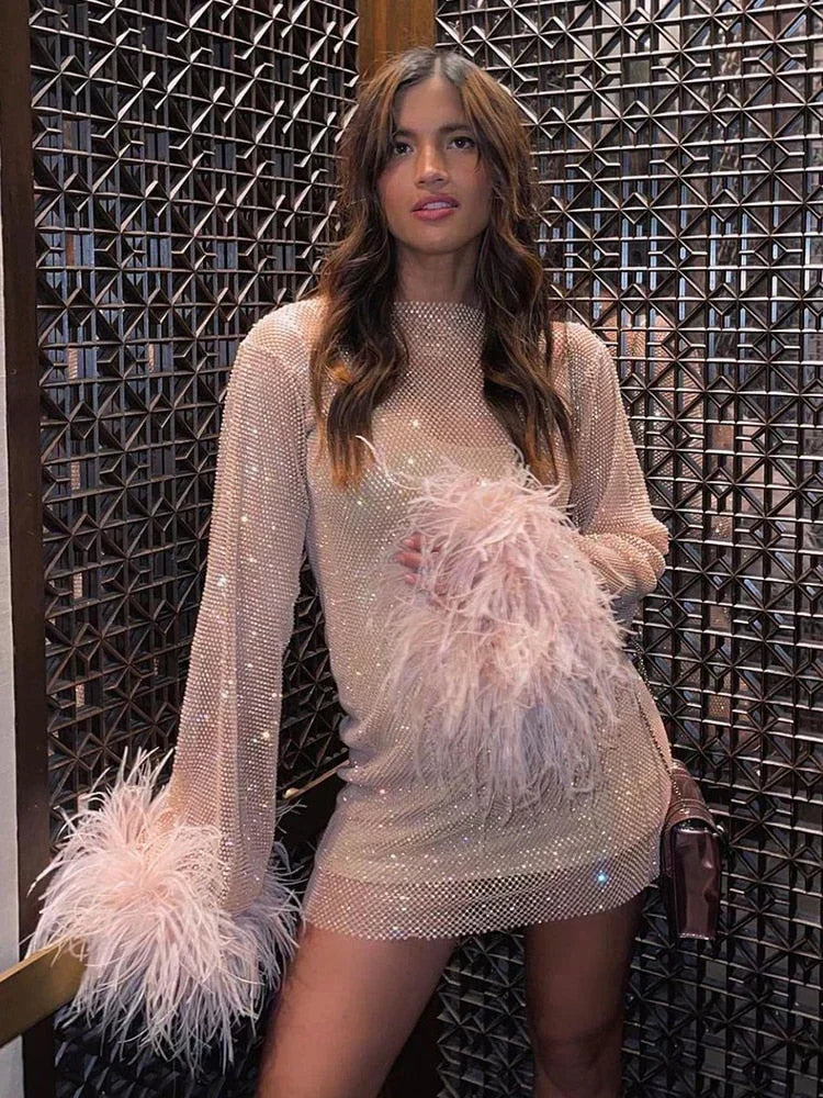 Women's Sheer Feather Mini Dress – Statement Trim Evening Party Dress