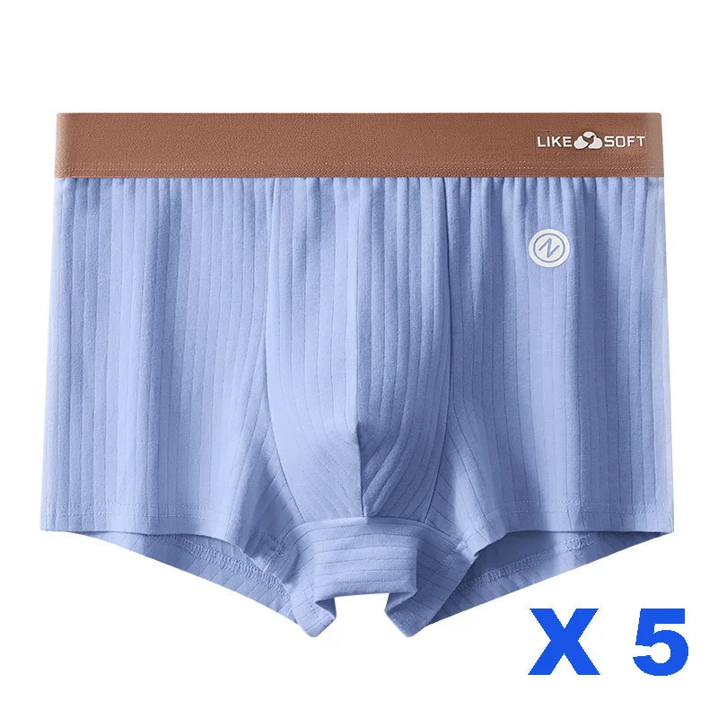 Men's 5 Piece Funny Striped Boxer Underwear Set for Comfort and Style