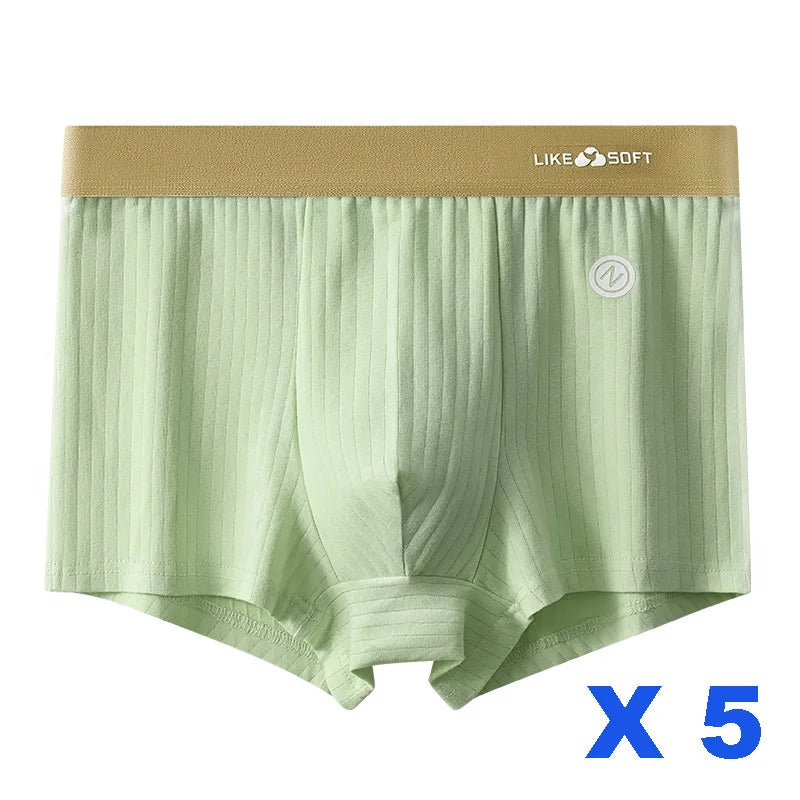 Men's 5 Piece Funny Striped Boxer Underwear Set for Comfort and Style