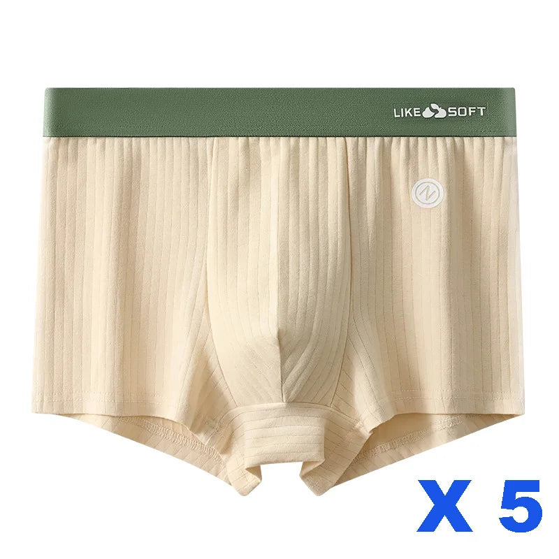 Men's 5 Piece Funny Striped Boxer Underwear Set for Comfort and Style