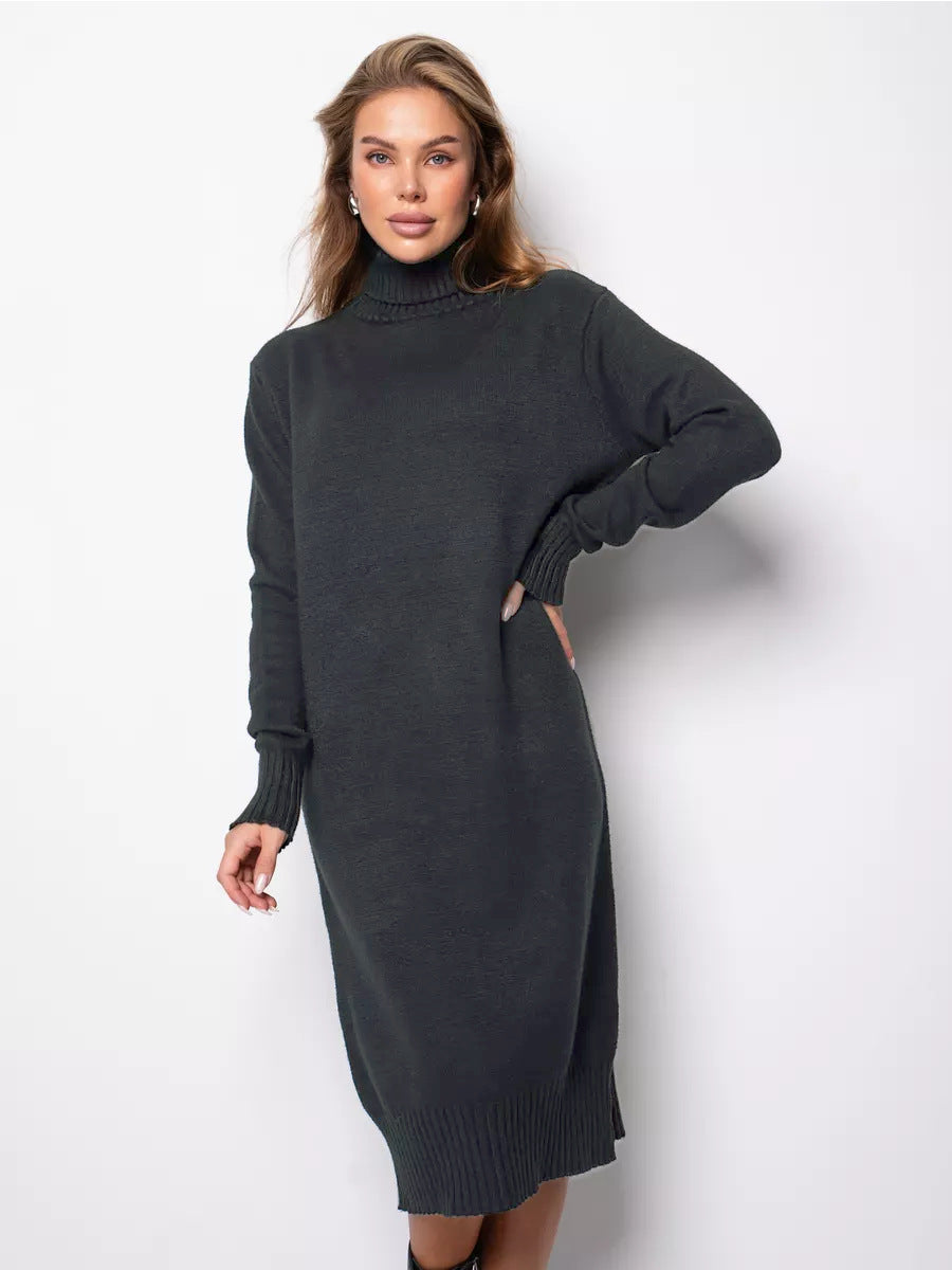 Vibeke Turtleneck Knit Sweater Dress