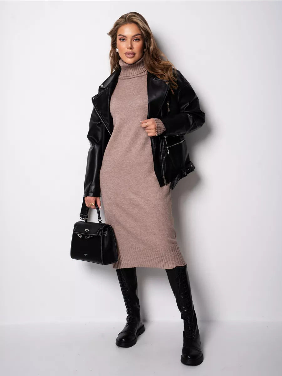 Vibeke Turtleneck Knit Sweater Dress