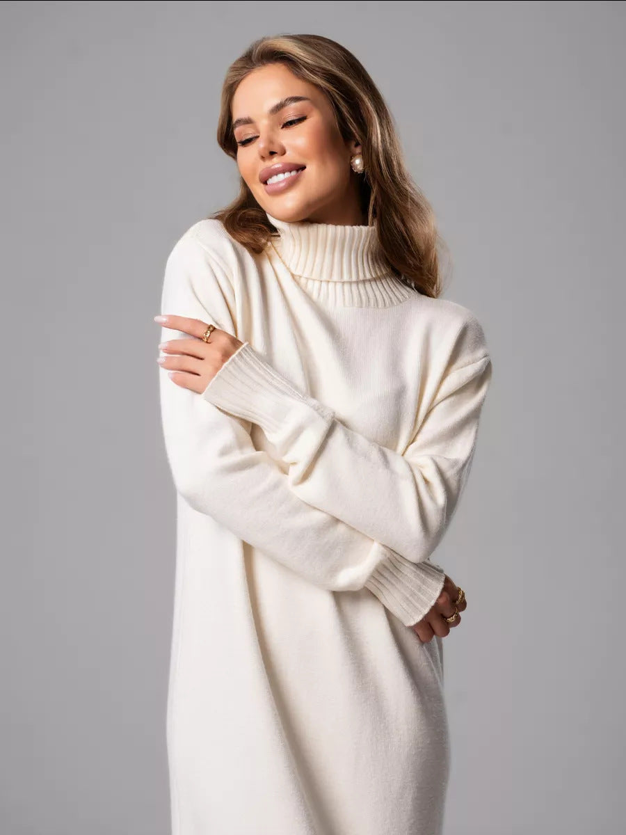 Vibeke Turtleneck Knit Sweater Dress