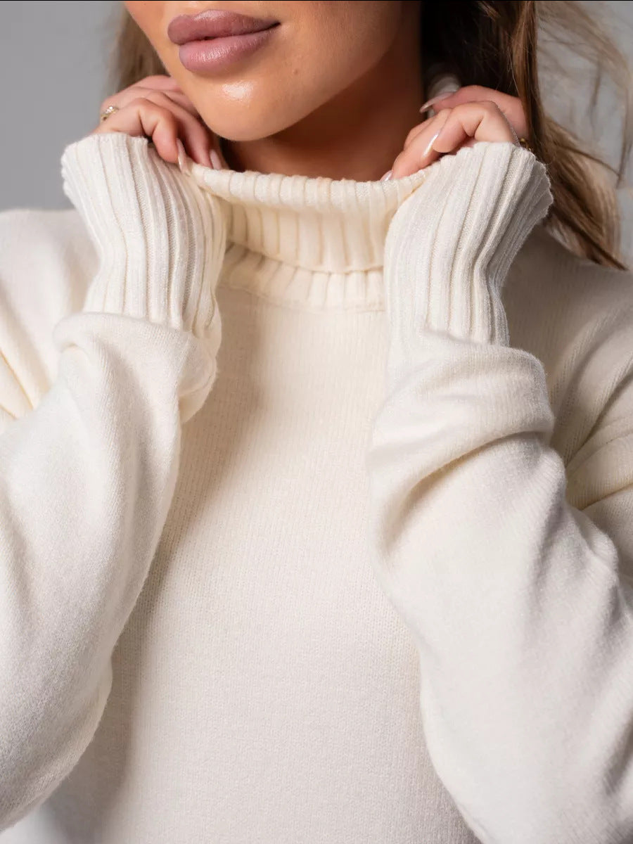 Vibeke Turtleneck Knit Sweater Dress