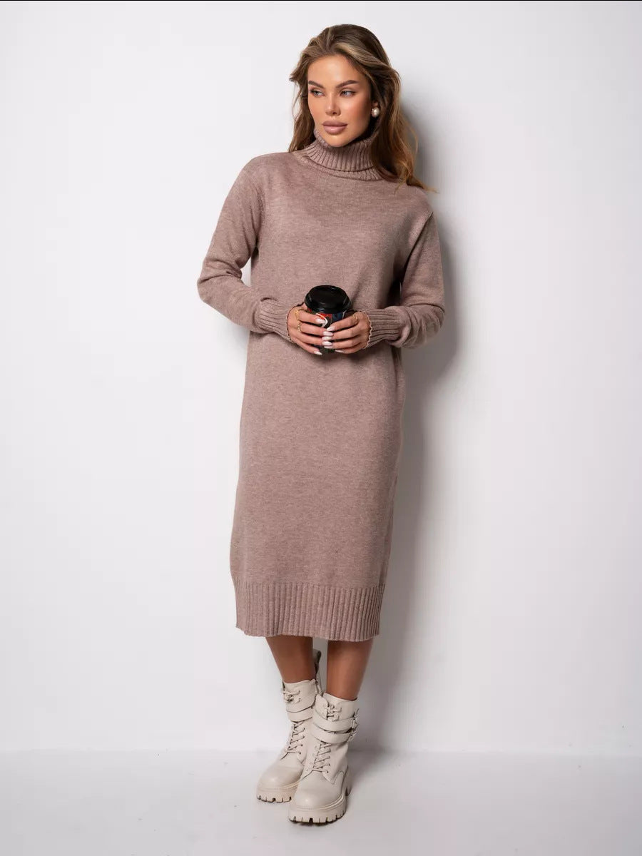 Vibeke Turtleneck Knit Sweater Dress