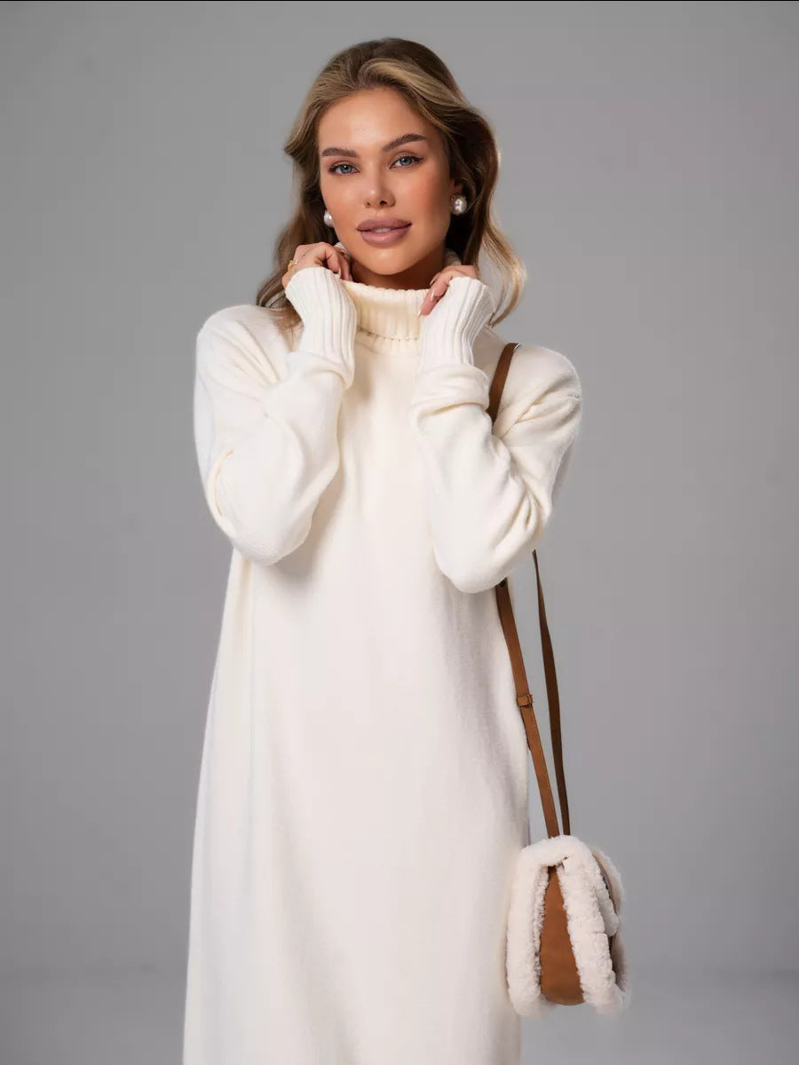 Vibeke Turtleneck Knit Sweater Dress