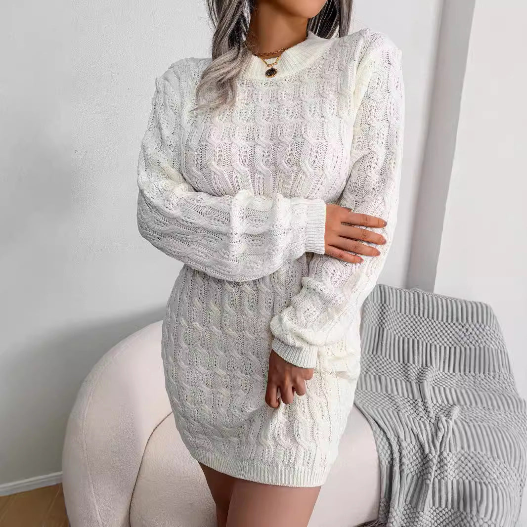 Domitia Crew Neck Textured Sweater Dress