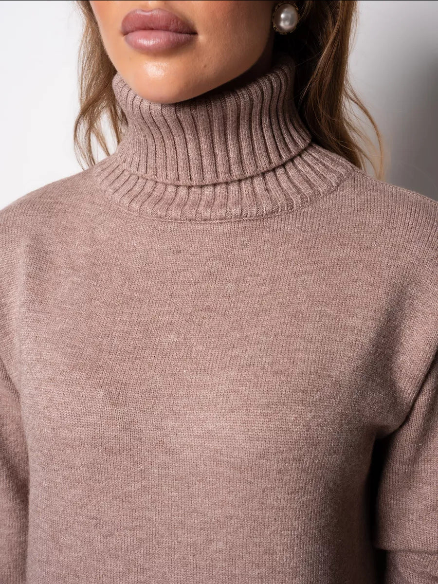 Vibeke Turtleneck Knit Sweater Dress