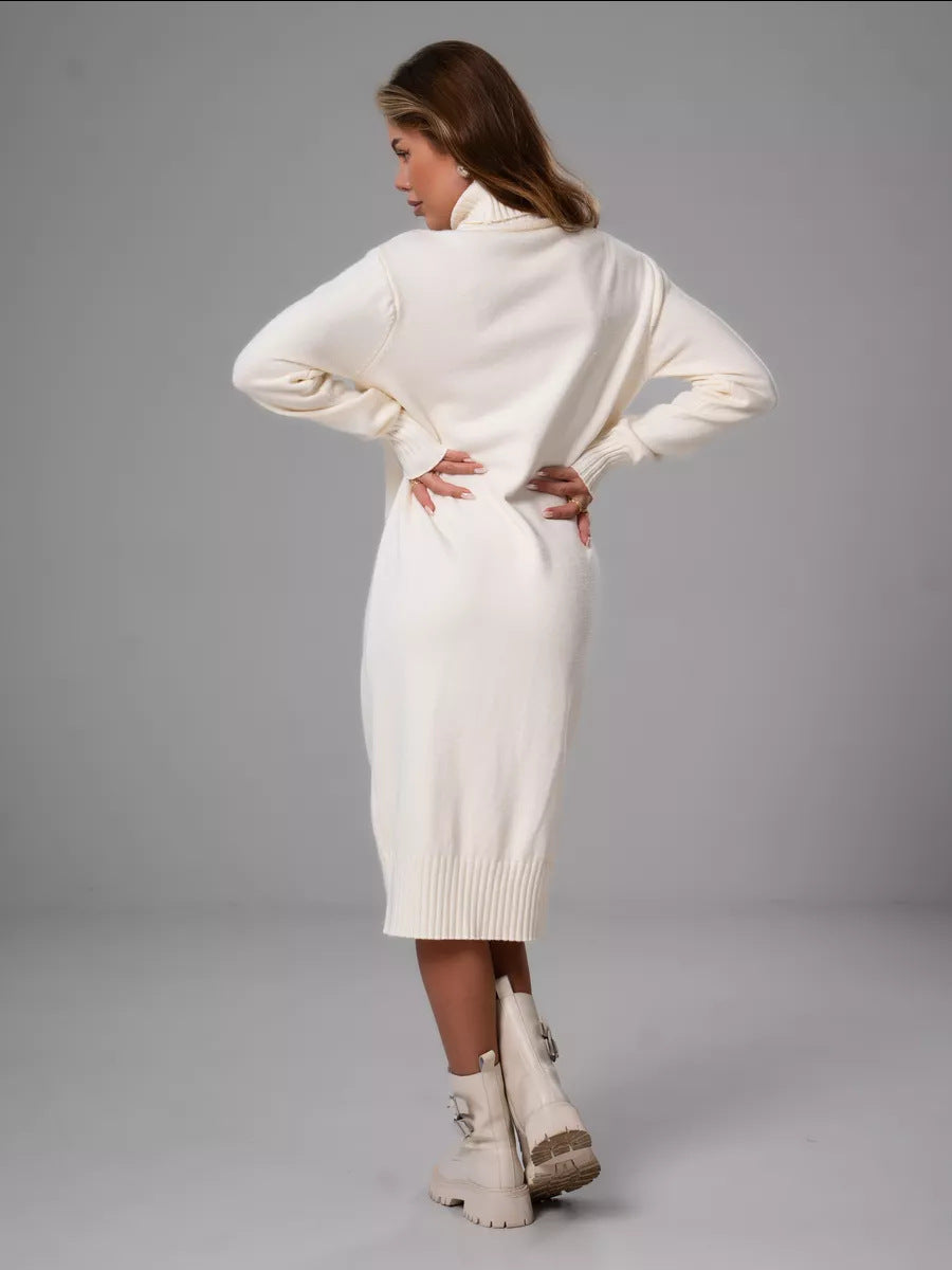 Vibeke Turtleneck Knit Sweater Dress