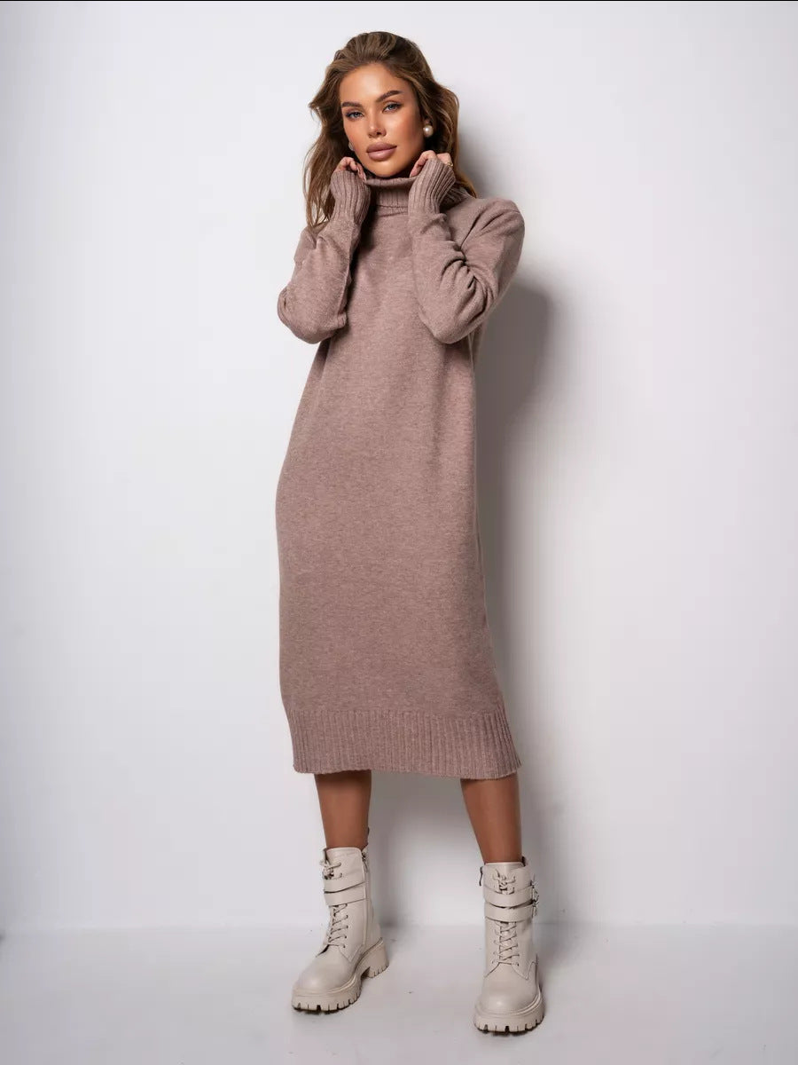 Vibeke Turtleneck Knit Sweater Dress