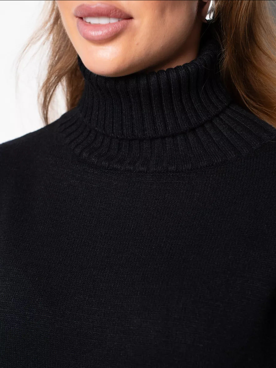 Vibeke Turtleneck Knit Sweater Dress