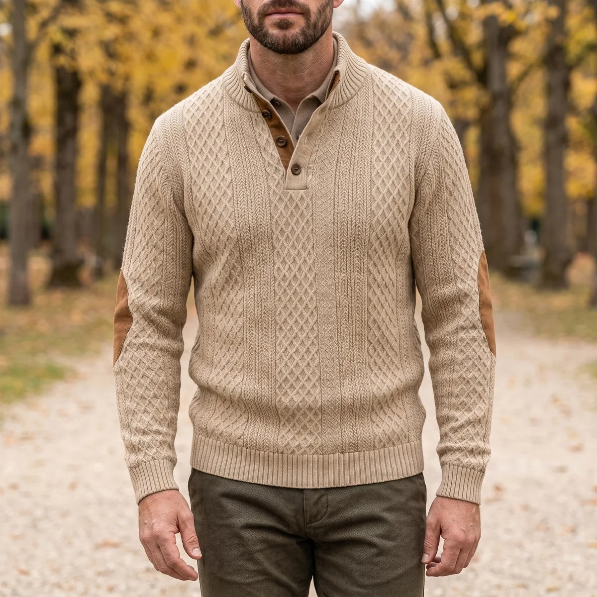 Desmondo Cable Knit Button Stand Collar Sweater