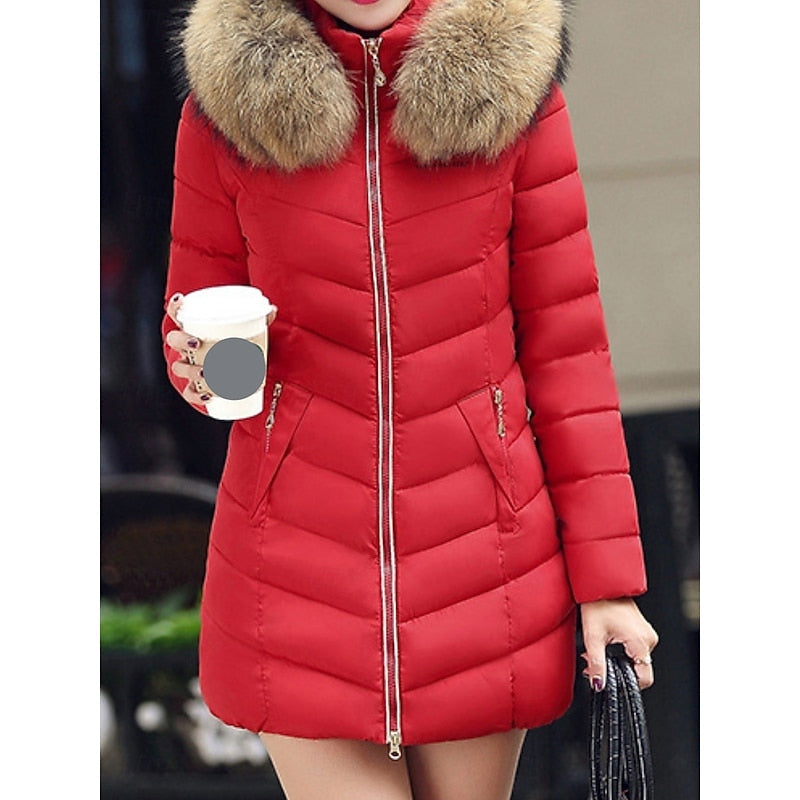 Women's Parka with Quilted Panels and Hood | Zip Closure, Pockets | For Winter | Size M-3XL | Wine Red, Red, Army Green, Black
