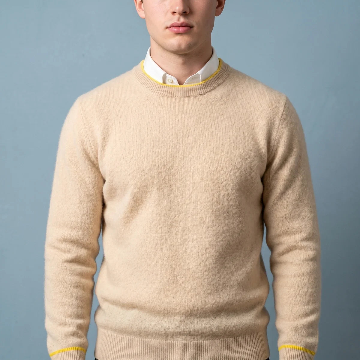 Percy Brushed Cashmere Contrast Tipped Crew Sweater