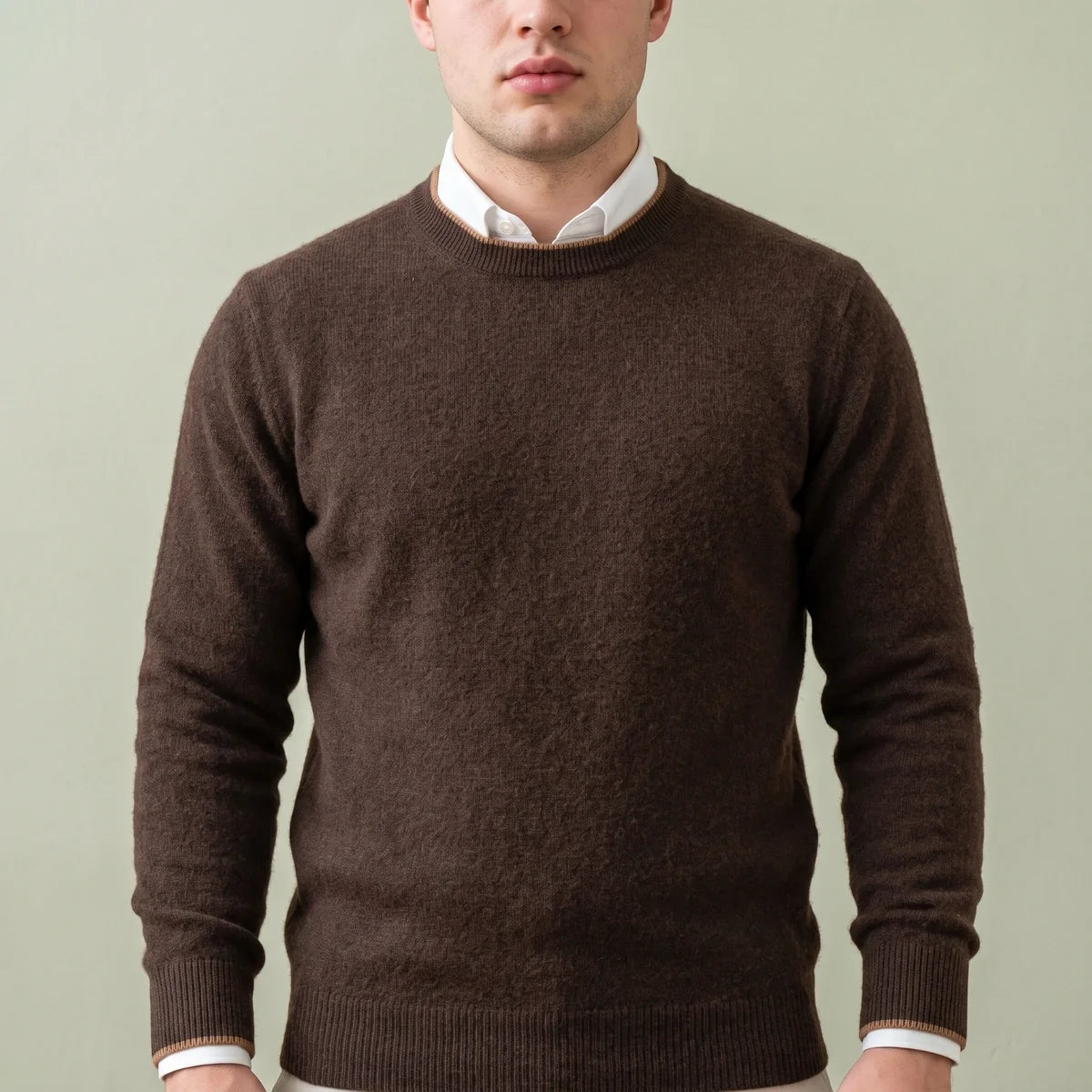 Percy Brushed Cashmere Contrast Tipped Crew Sweater