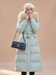 Blue with Beige Collar